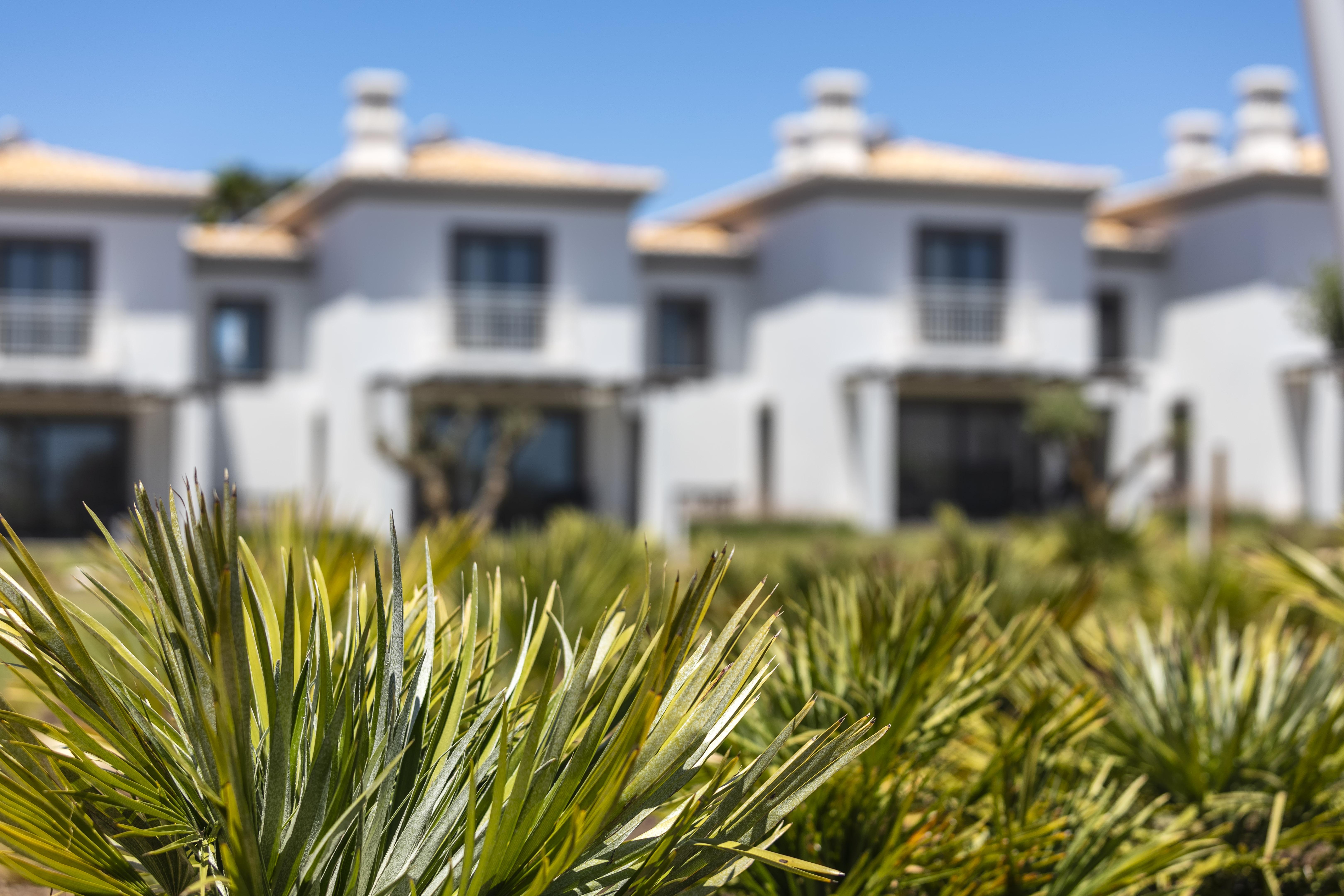 Quinta Do Algarvio Village كارفويرو المظهر الخارجي الصورة